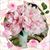 Jenny Landrum's profile image