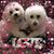 Lisa Musto's profile image