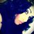 Raquelita RackCity Jauss's profile image