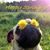 Debbie Laubach's profile image