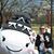 Dave Esselburn's profile image