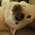 Michael Forbes's profile image