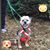 Marcia Aguilar's profile image