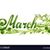 Karen Burney Mayberry's profile image
