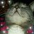 Joie Andre's profile image