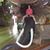 Amber Eibeck's profile image