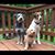 Carol Bodimer's profile image