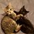 Brenda Danielson's profile image