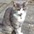 Vee O'Connor's profile image