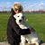 Leslie Bird Sardinia's profile image