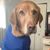 Jon Stewart's profile image
