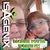 Amanda Marie Larson's profile image