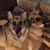 Dewey James Huneycutt III's profile image