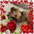 Michelle Lynn Stewart's profile image