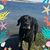 Judy Funk Pierce's profile image