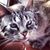 M Victoria Baraya's profile image