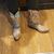 Deborah Stewart Arace's profile image