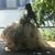 Yoali Sanchez's profile image