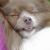 Lorie Travis VanOrden's profile image