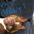 Bobbi Schultz's profile image