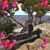 Debbie Ann Day's profile image