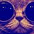 Colette Shewcraft's profile image