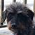 Deborah J Austin's profile image