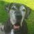 Birgit Jobi's profile image