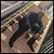 Harun Hafiz's profile image