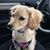 Liz Fitzsimons's profile image