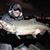 Robert Newcombe's profile image