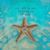Kim McMillion Huffman's profile image