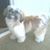 Monica Duenas's profile image