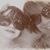 Kathy Gatzman Hadden's profile image