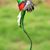 Silverio Perez's profile image