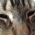 Stephanie Casas's profile image