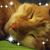 Jacque Suttill Simpson's profile image