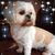 Joan Law's profile image