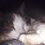 Marty Iozzo's profile image