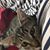 Gina Guillotte's profile image
