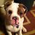 Tracy Kerr's profile image