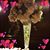 Colby Earnest's profile image