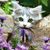 Katherine Tracy's profile image