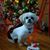 Fern N Carole Perreault's profile image