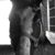 Brandy Gardner's profile image