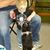 Steve Tempel's profile image