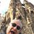 Manuel Ordonez's profile image
