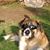 Brian Jobe's profile image