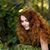 Amy Lidman's profile image