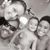 Juan Carlos Lopez's profile image